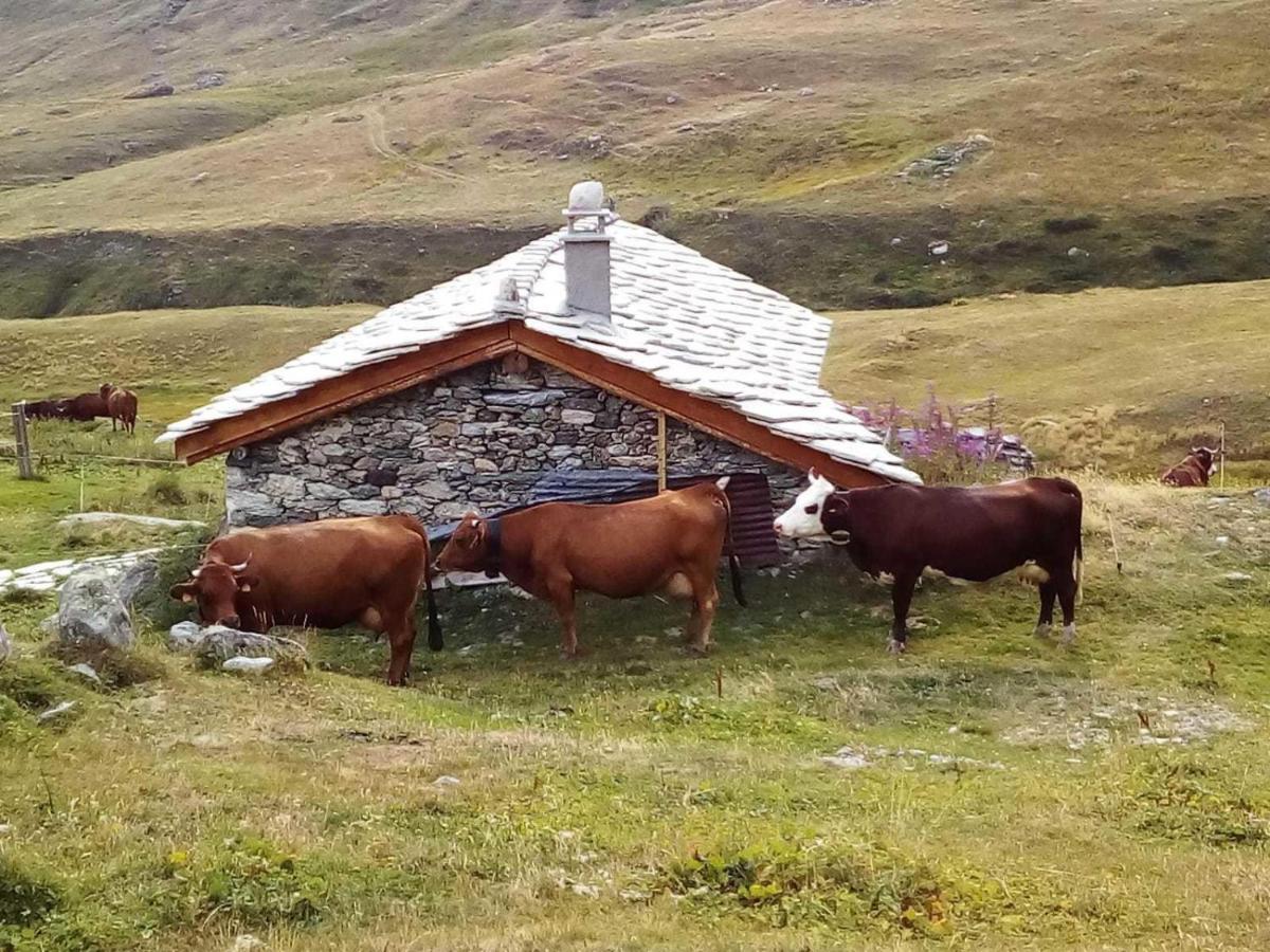 Les Balcons Proche Parc National Vanoise Appartements 2 Pieces 6 Pers Montagne Superieur تيرمينو المظهر الخارجي الصورة